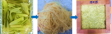 Extraction of Cornhusk Fibres for Textile Usages